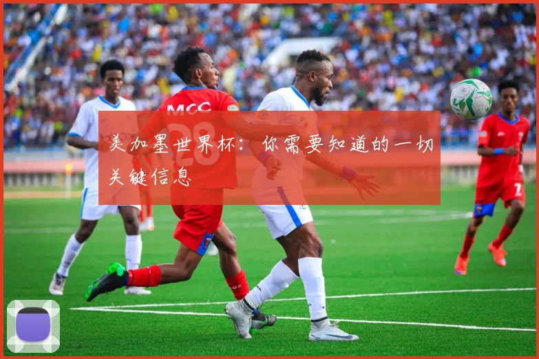 美加墨世界杯：你需要知道的一切关键信息