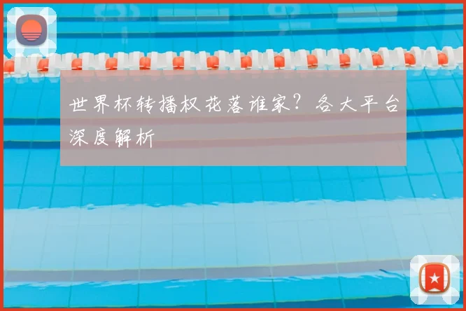 世界杯转播权花落谁家？各大平台深度解析